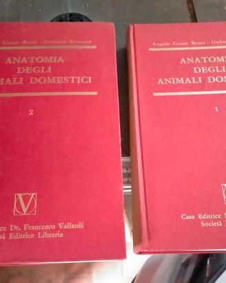 libri