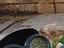 Immagine 6