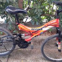 Bicicletta mountai bike  24 b ammortizzata regina