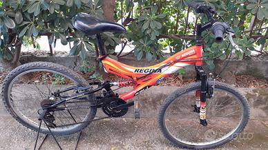 Bicicletta mountai bike  24 b ammortizzata regina