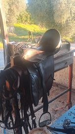 sella e finimenti da equitazione