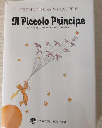 Il piccolo principe