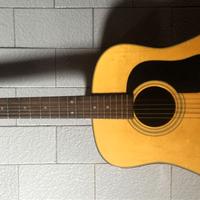 Chitarra acustica Washburn dreadnought