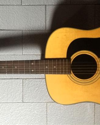 Chitarra acustica Washburn dreadnought