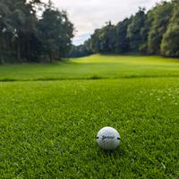 Palline da golf Srixon 