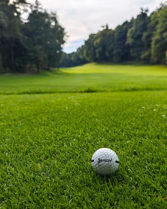 Palline da golf Srixon 
