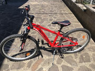 Bicicletta Bottecchia