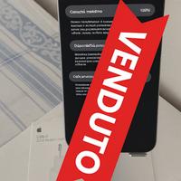 iPhone 13 Pro Max 1TB 100% Silver 🔥