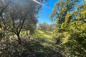 Terreno di 3000 mq