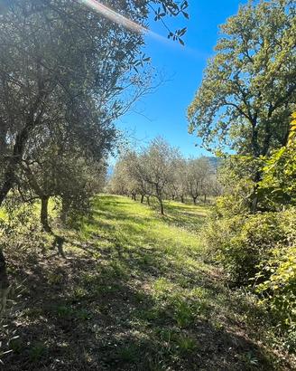 Terreno di 3000 mq