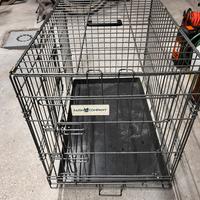 Trasportino farm company