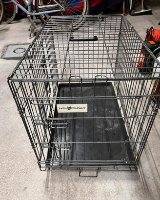 Trasportino farm company