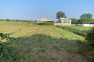 Appezzamento di Terreno agricolo