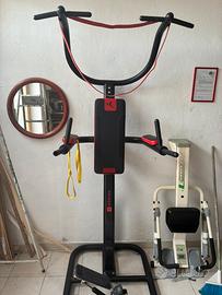 POWER TOWER DIP STATION