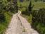 Immagine 16