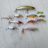 Esche artificiali pesca spinning