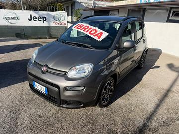 Fiat panda 2023 hybrid