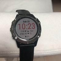 Garmin Fenix 6