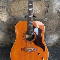 chitarra EKO 12 corde elettrificata