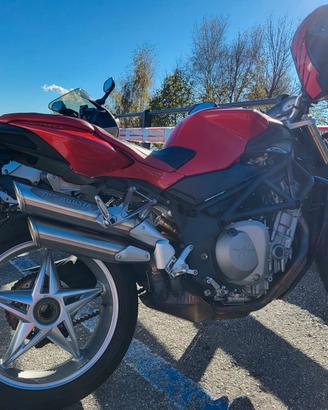 MV Agusta Brutale 910S – Per veri intenditori