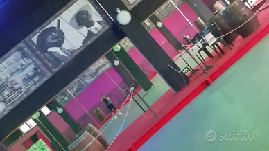 Locale commerciale ristorante, bar, pizzeria