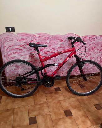 Bicicletta