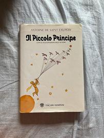 Il piccolo principe