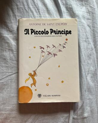 Il piccolo principe