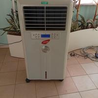 raffrescatore ventilatore industriale 