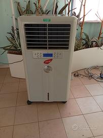 raffrescatore ventilatore industriale 