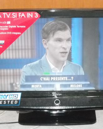 Tv Monitor LCD Telesystem PALCO 19-L05 COMBO DVD