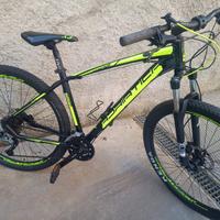 MTB DA 29 MARCA ADRIATICA TELAIO IN ALLUMINIO