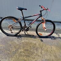 Bicicletta usata 