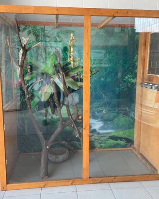 Voliera da interno  200mmx 100mm