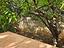 Immagine 28