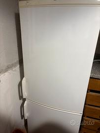Frigo e congelatore
