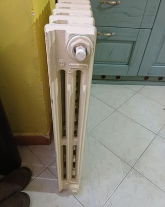 Termosifone in ghisa