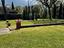 Immagine 9