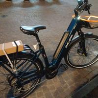 bici elettrica 