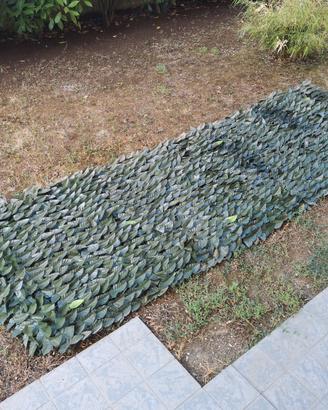 Siepe artificiale divisore frangivista giardino 