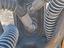 Immagine 5