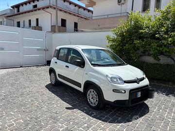 Fiat Panda, autocarro