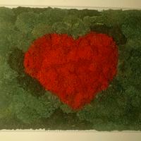 quadro