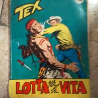 fumetti Tex e bonelli 