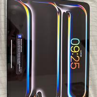 iPad Pro 13” 256 gb