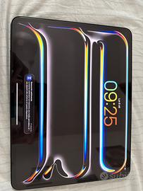 iPad Pro 13” 256 gb