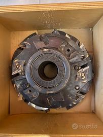 Frese legno Freud e Biasio