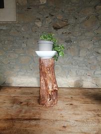 ceppo in legno d'ulivo 