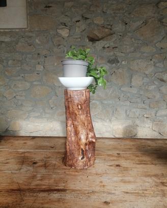 ceppo in legno d'ulivo 