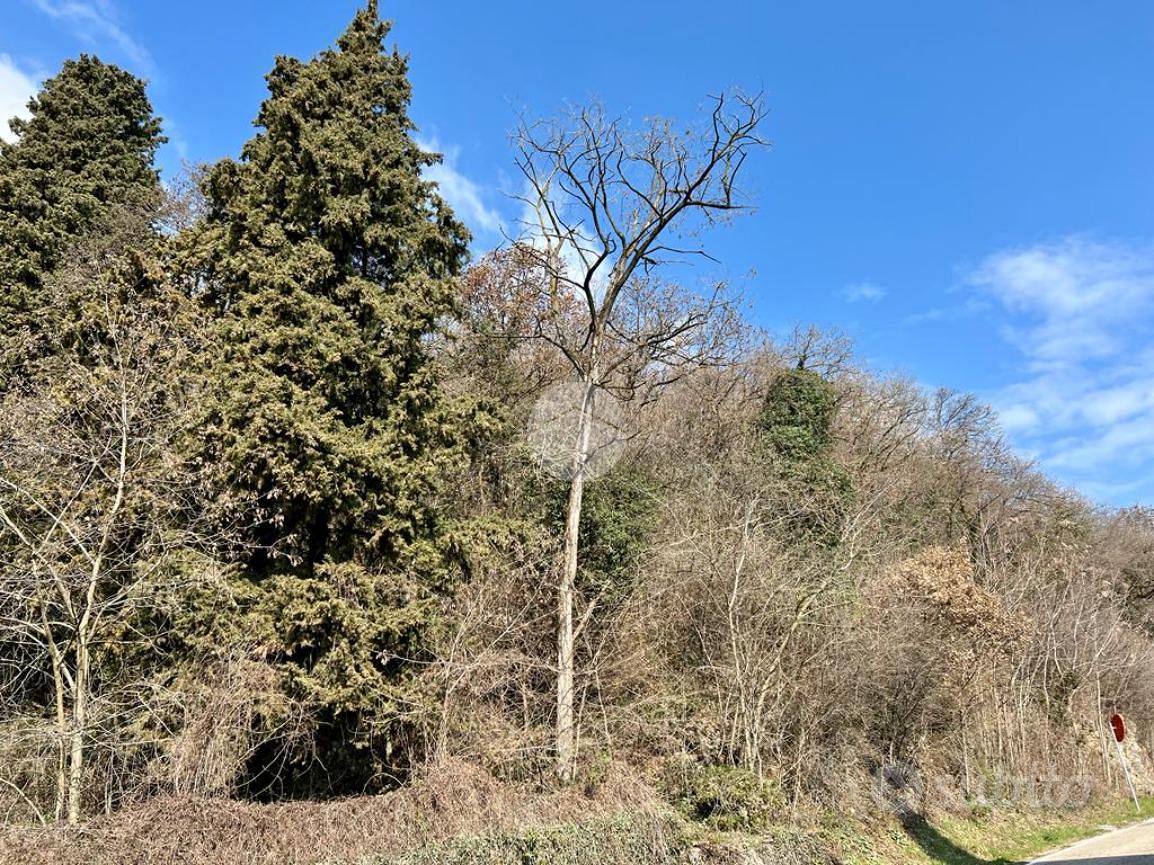 TER. AGRICOLO A CAPRINO VERONESE - Vista 5